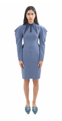 Cowl Sleeve Dress
